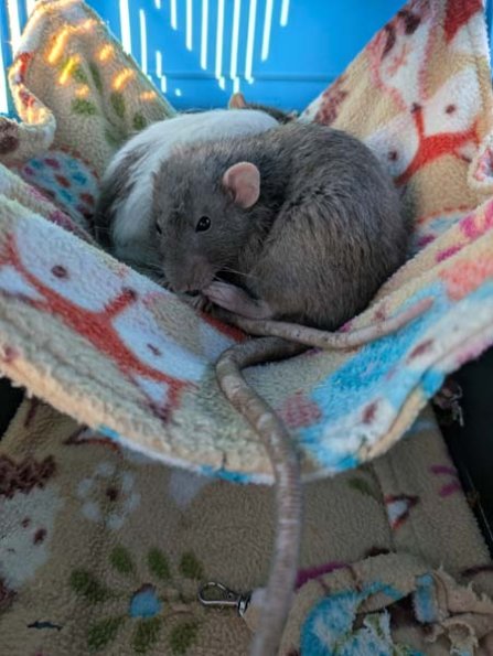 PXL_20250405_180644386