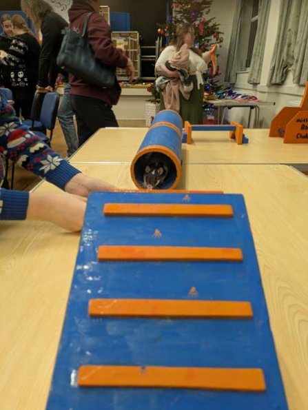 PXL_20251206_165555264