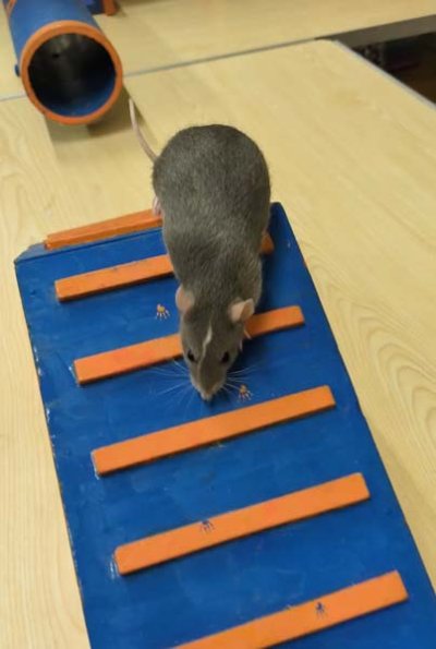 PXL_20251206_170014623_exported_1542