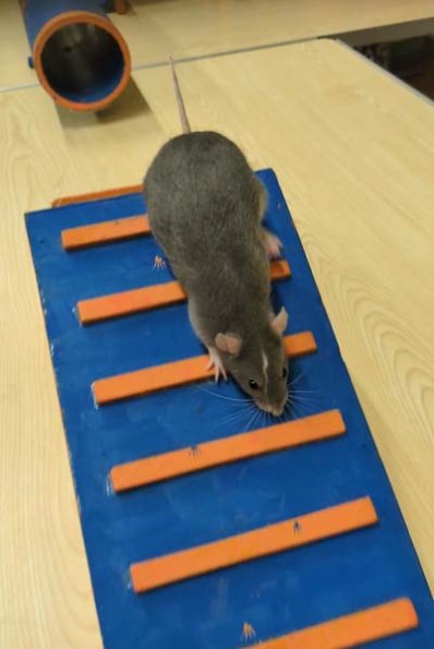 PXL_20251206_170014623_exported_2181