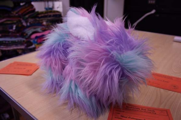 Toy - Most Outrageous Imposter