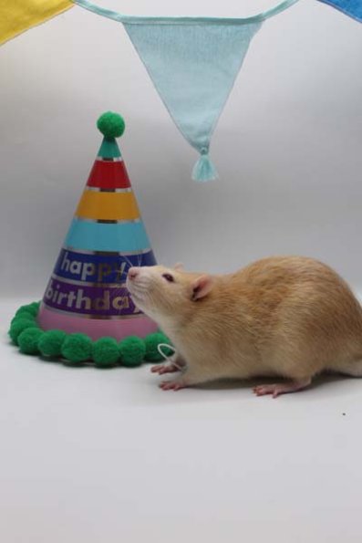 IMG_6581