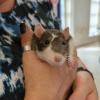 PXL_20260606_160726802_exported_1938_1780937828881