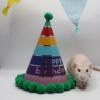 Winners