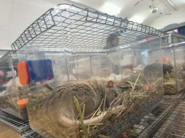 Taken by Lisa K  (10)