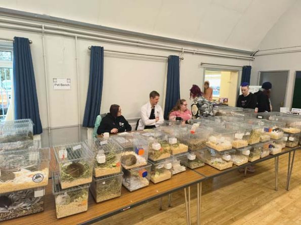 Taken by Lisa K  (12)