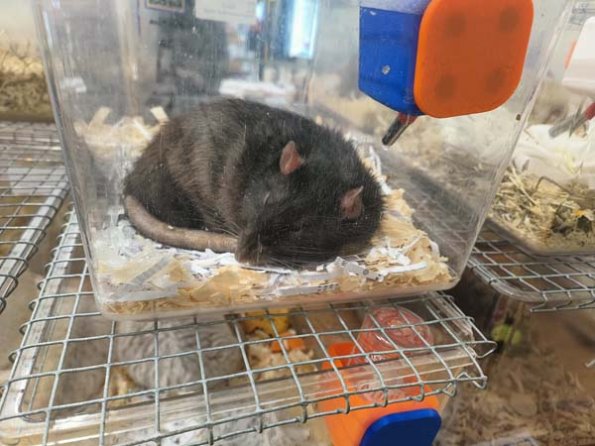 Taken by Lisa K  (14)