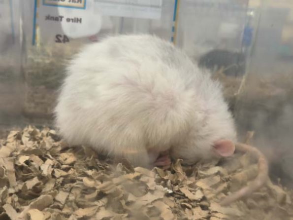 Taken by Lisa K  (17)