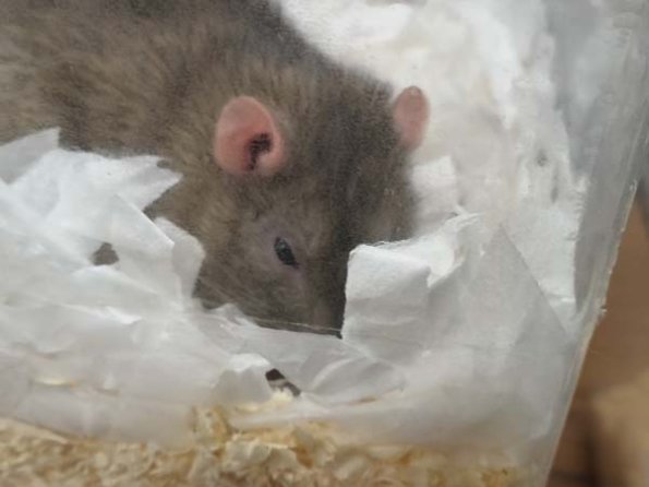 Taken by Lisa K  (18)