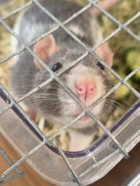 Taken by Lisa K  (24)