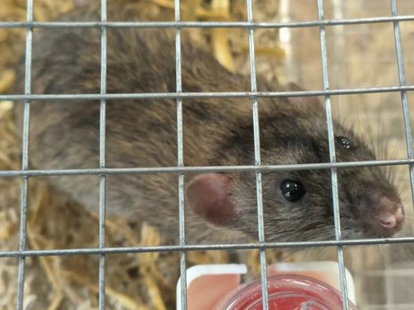 Taken by Lisa K  (28)