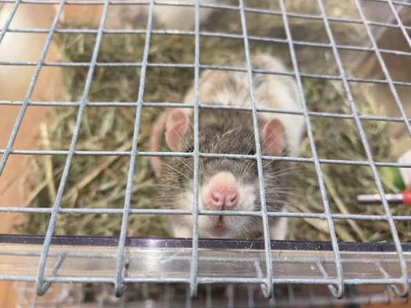 Taken by Lisa K  (3)