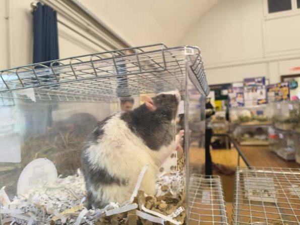 Taken by Lisa K  (6)