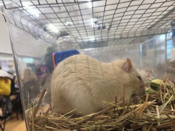 Taken by Lisa K  (9)