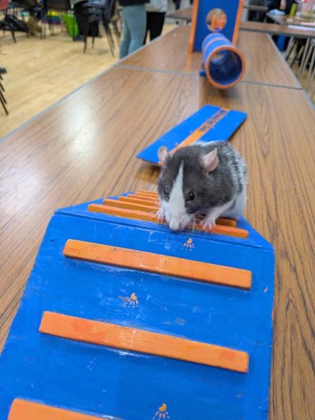 Taken by Rachel  (1)