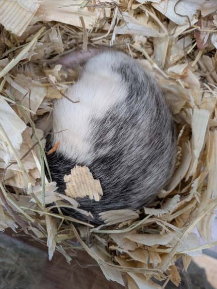 Taken by Rachel  (13)