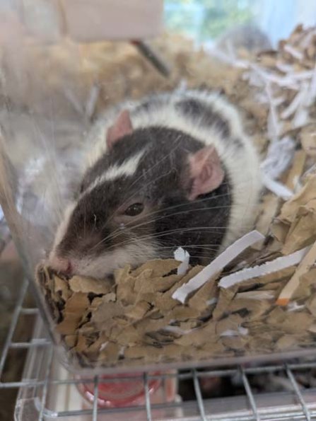 Taken by Rachel  (14)