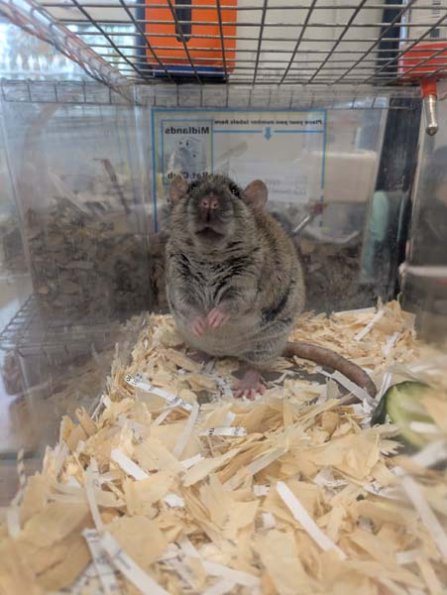 Taken by Rachel  (15)