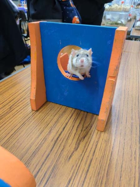 Taken by Rachel  (16)