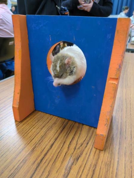 Taken by Rachel  (18)