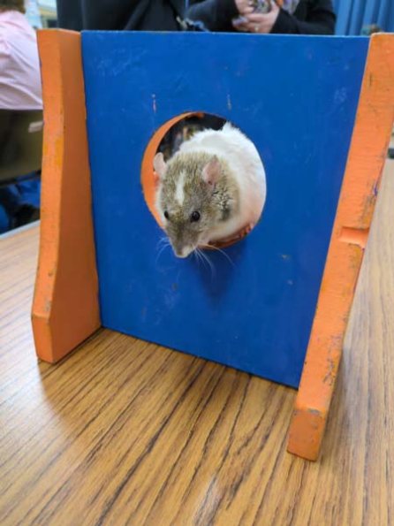 Taken by Rachel  (19)