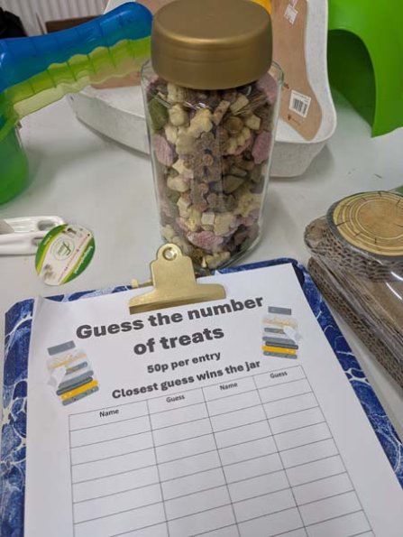 Taken by Rachel  (2)