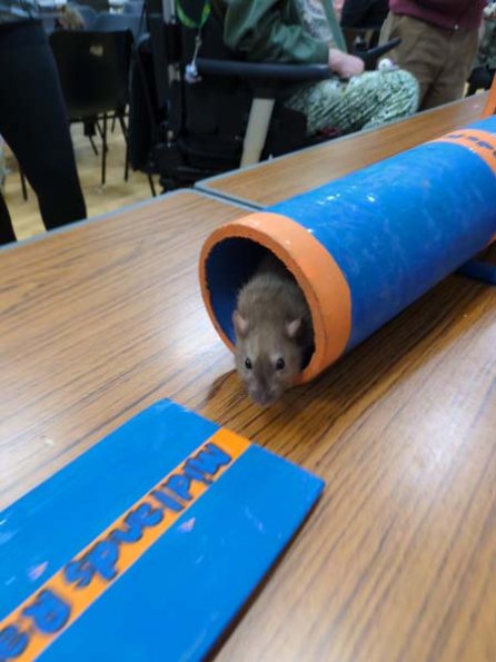 Taken by Rachel  (21)