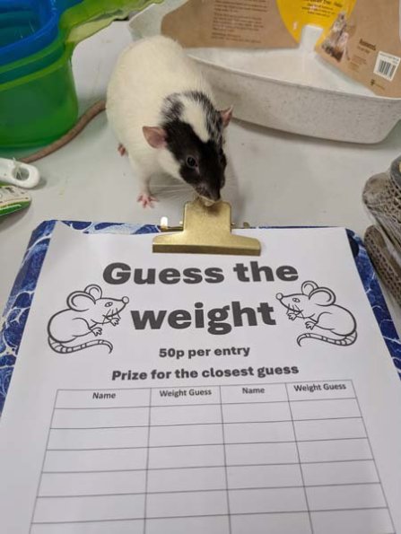 Taken by Rachel  (3)