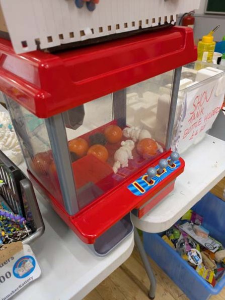 Taken by Rachel  (4)