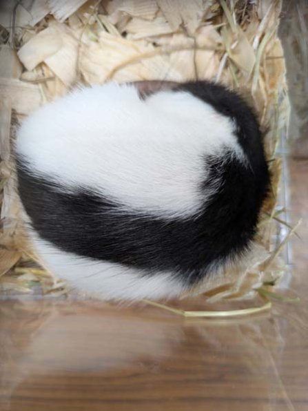 Taken by Rachel  (7)