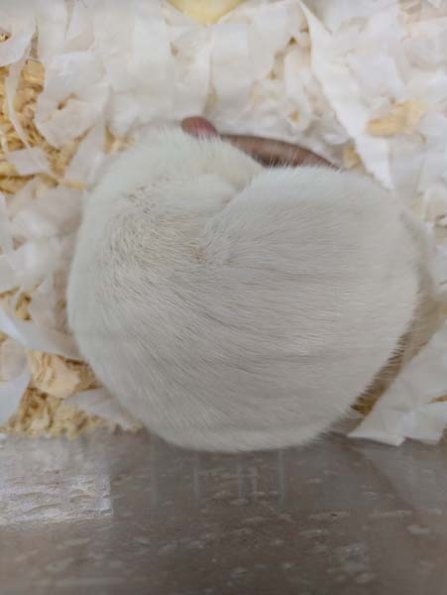 Taken by Rachel  (8)