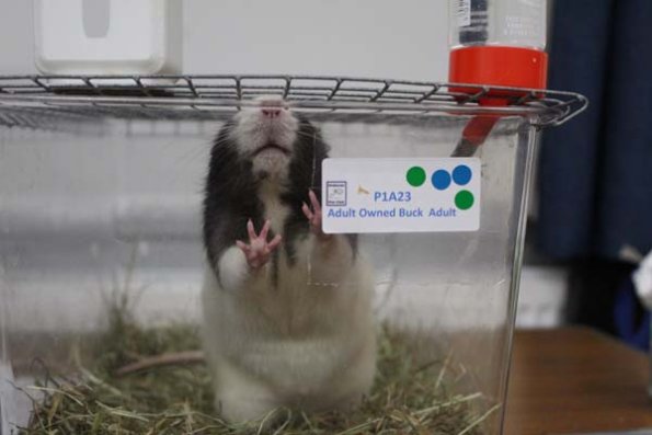 Taken by Rhiannon  (100)