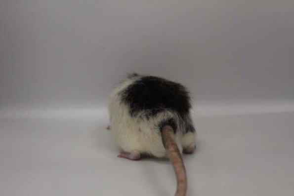 Taken by Rhiannon  (101)