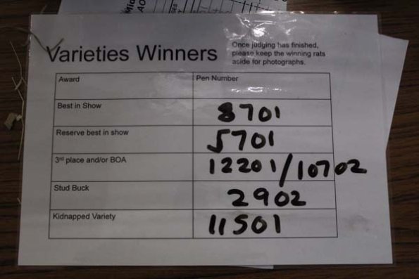 Taken by Rhiannon  (106)