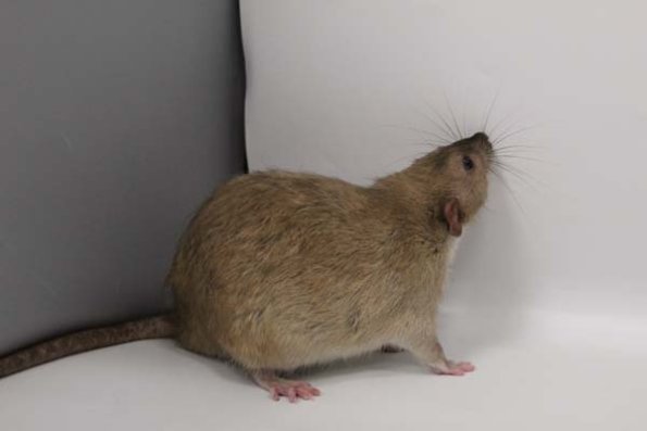 Taken by Rhiannon  (108)