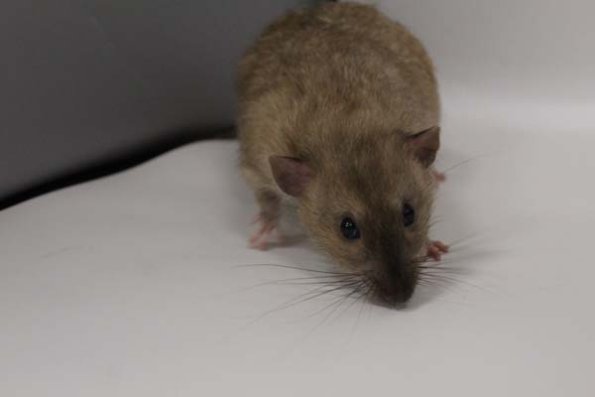 Taken by Rhiannon  (110)