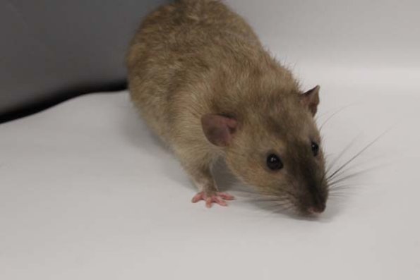 Taken by Rhiannon  (111)