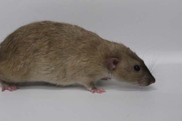 Taken by Rhiannon  (113)