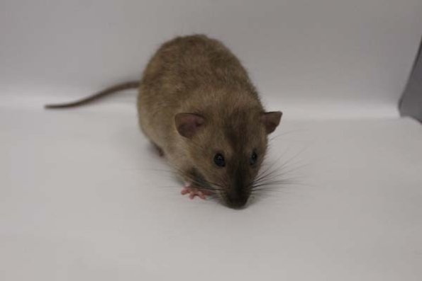 Taken by Rhiannon  (115)