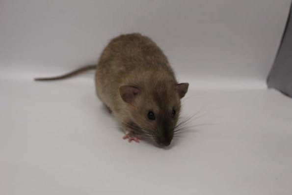 Taken by Rhiannon  (116)