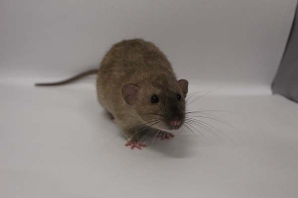 Taken by Rhiannon  (117)