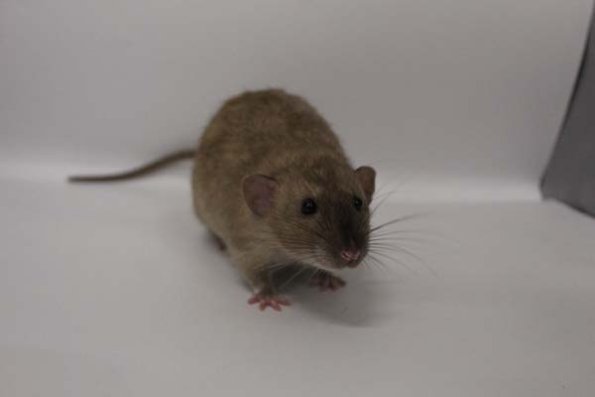 Taken by Rhiannon  (118)