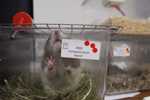 Taken by Rhiannon  (119)