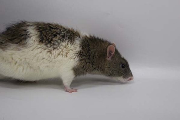 Taken by Rhiannon  (126)