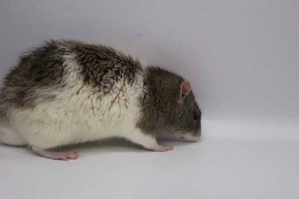 Taken by Rhiannon  (127)