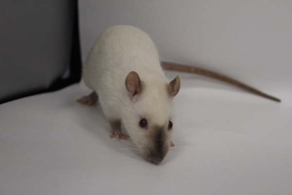 Taken by Rhiannon  (130)