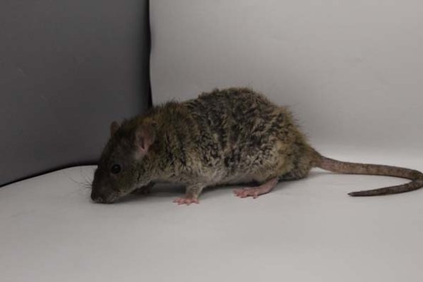 Taken by Rhiannon  (133)