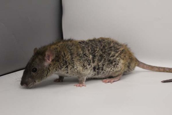 Taken by Rhiannon  (134)