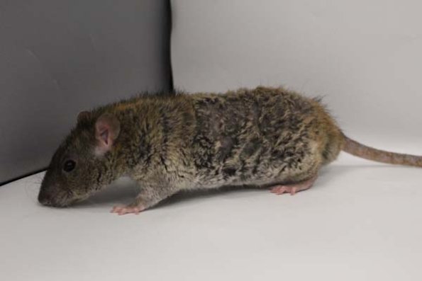 Taken by Rhiannon  (135)