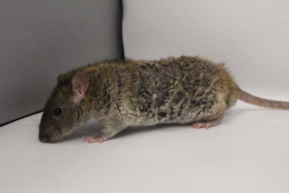 Taken by Rhiannon  (136)